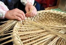 У Вінниці стартував етновікенд «Заплетемо рогозу»