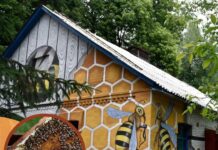 Новий тур у липні: “Велика Вінниця: Будиночок Бджоляра”