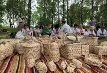 Вінничан запрошують на Етно-вікенд «Заплетемо рогозу»