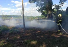 На Вінниччині ліквідували 12 пожеж: суха трава, очерет і стерня стали епіцентром загорянь