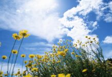 Прогноз погоди у Вінниці на неділю