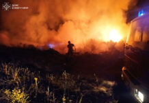 За минулу добу рятувальники ліквідували 13 пожеж в екосистемах