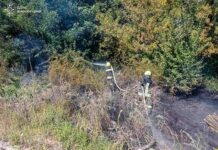 Охопило 14 гектарів: Вогнеборці Вінниччини ліквідували 24 пожежі