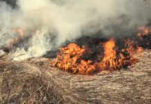 На Вінниччині прогнозують надзвичайний рівень пожежної небезпеки