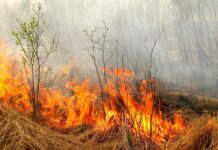 На Вінниччині протягом 3 днів оголошено надзвичайний рівень пожежної небезпеки