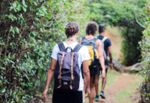 Екологічна свідомість через туризм: у Вінниці стартувала Школа екотуризму