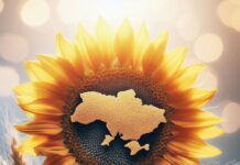 Час для легких суконь: погода у Вінниці в День Незалежності буде по-літньому спекотною Погода у Вінниці