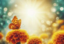 Якою буде погода у Вінниці 10 жовтня Погода у Вінниці