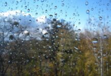 Якою буде погода у Вінниці 7 серпня