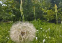 Сьогодні у Вінниці спекотна погода Погода у Вінниці