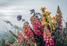 Сьогодні у Вінниці очікується дрібний дощ