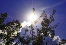 Прогноз погоди у Вінниці 20 серпня