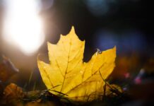 Прогноз погоди у Вінниці 18 вересня