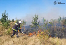 За добу рятувальники Вінниччини ліквідували 50 пожеж