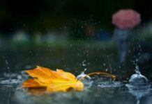 Сьогодні у Вінниці можливий дощ