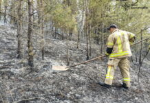 На Вінниччині внаслідок пожеж знищено 7 вуликів і господарські будівлі