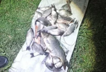 Браконьєр виловив п’ять кілограмів риби у ставку на Вінниччині