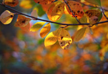 Прогноз погоди у Вінниці на 24 вересня