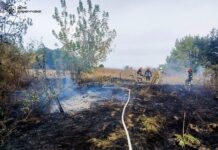 Рятувальники Вінниччини ліквідували займання на площі понад 7,5 га