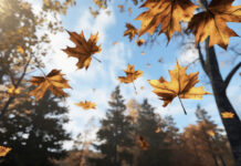 Прогноз погоди у Вінниці на 9 вересня