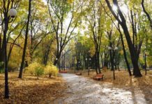 Прогноз погоди у Вінниці 22 вересня