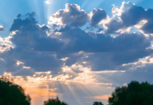 Погода у Вінниці на 20 березня: сонячно та без опадів