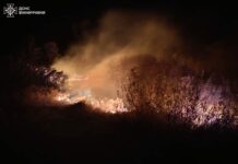 На Вінниччині за добу вогнеборці ліквідували 8 пожеж