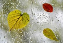 Сьогодні у Вінниці очікується дощ