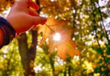 Погода у Вінниці 17 вересня