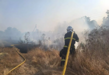 32 пожежі в екосистемах ліквідували рятувальники Вінниччини за добу