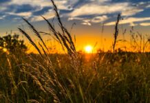 Сьогодні у Вінниці тепло та сонячно