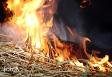 У Могилів-Подільському районі згоріла тонна сіна