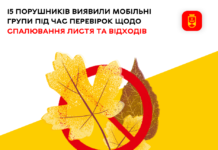 У Вінниці мобільні групи виявили 15 порушників під час рейдів проти спалювання сухої рослинності