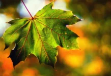 Прогноз погоди у Вінниці на неділю