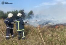 Вінницькі рятувальники за добу ліквідували чотири загоряння сухої рослинності