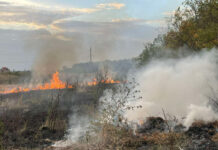 За добу бійці ДСНС Вінниччини ліквідували 8 пожеж