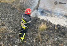ДСНС ліквідувала чотири пожежі на Вінниччині за минулу добу