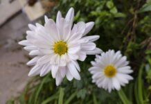 Прогноз погоди на неділю у Вінниці Погода у Вінниці