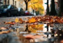 Якою буде погода у Вінниці 29 жовтня