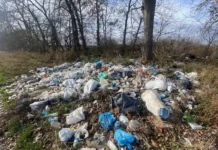Екологічна проблема: шість стихійних сміттєзвалищ виявлено у Вінницькій громад