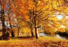 Якою буде погода у Вінниці 20 жовтня