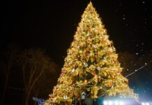 У Вінниці відмовилися від встановлення головної ялинки через війну