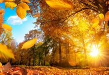 У Вінниці 7 листопада опадів не прогнозується