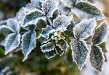 У Вінниці сьогодні ясна погода без опадів