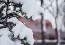 Сьогодні у Вінниці ясна погода