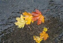 Прогноз погоди у Вінниці на 27 листопада