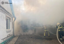 Минулої доби рятувальники на Вінниччині ліквідували 12 пожеж