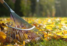 Як легко прибирати осіннє листя: 5 способів без згрібання