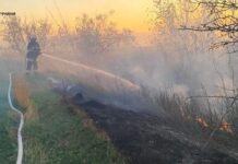 Чотири пожежі за добу на Вінниччині: ДСНС закликає дотримуватись правил безпеки