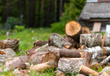 Дрова без документів: чи чекати штрафів і кому саме?